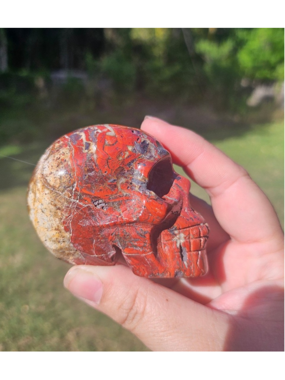 Red crazy lace skull 3in